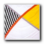 Flags for Berlin Project